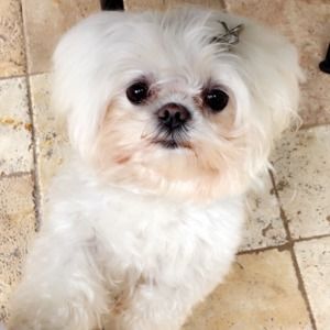 Meet your Posher, Kar n'